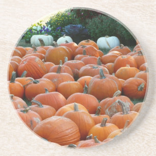 Posavasos Calabazas y crisantemos Fotografía de la cosecha d