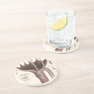 Posavasos Calamar Paraguas, Animales de la Vida Marina Antig