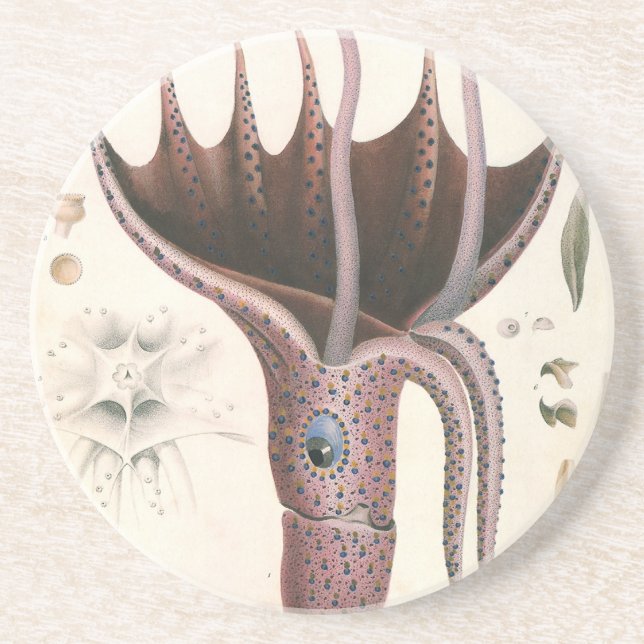 Posavasos Calamar paraguas, animales de la vida marina vinta (Frente)