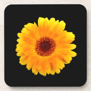 Posavasos Calendula Officinalis