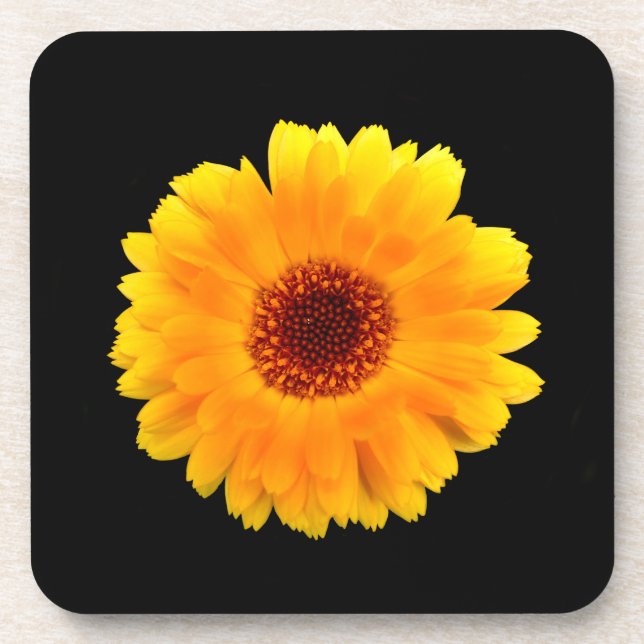 Posavasos Calendula Officinalis (Frente)