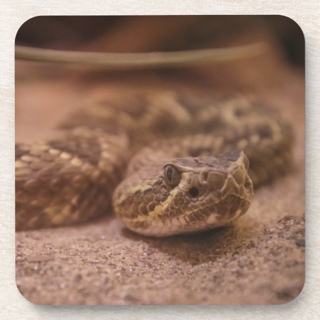 Posavasos Caleta de plástico dura (Frente)