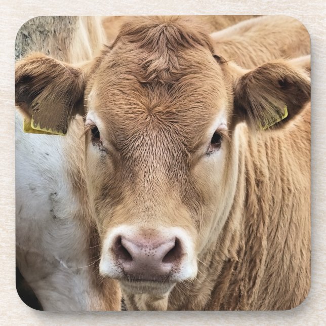 POSAVASOS CALF DE CUIDADO (Frente)