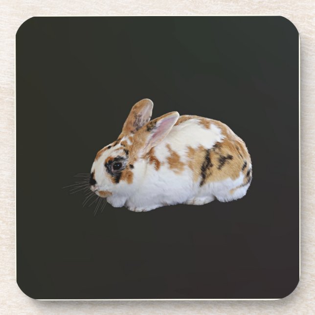 Posavasos Calico Rabbit (Frente)