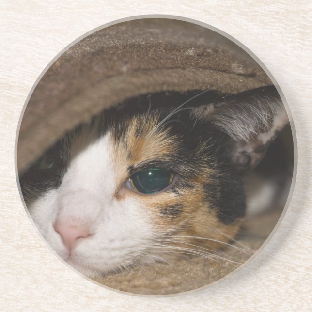 Posavasos Calico Taco (Frente)