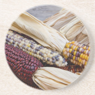 Posavasos  California. Cosecha de otoño de maíz indio colo