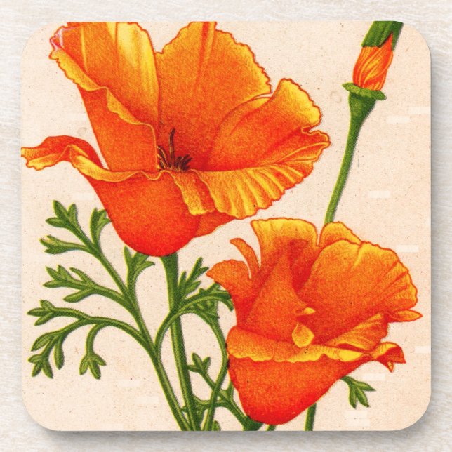 Posavasos California poppy California poppies in orange (Frente)