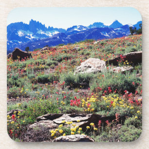Posavasos California, Sierra Nevada Montañas 1