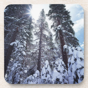 Posavasos California, Sierra Nevada Montañas 9