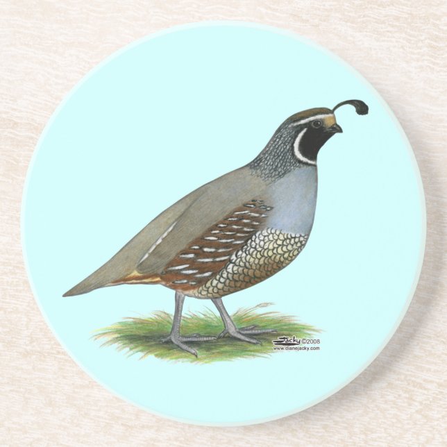 Posavasos California Valley Quail (Frente)