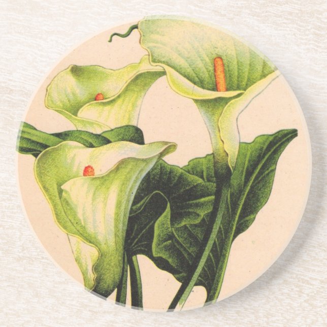 Posavasos calla lily calla lilies (Frente)