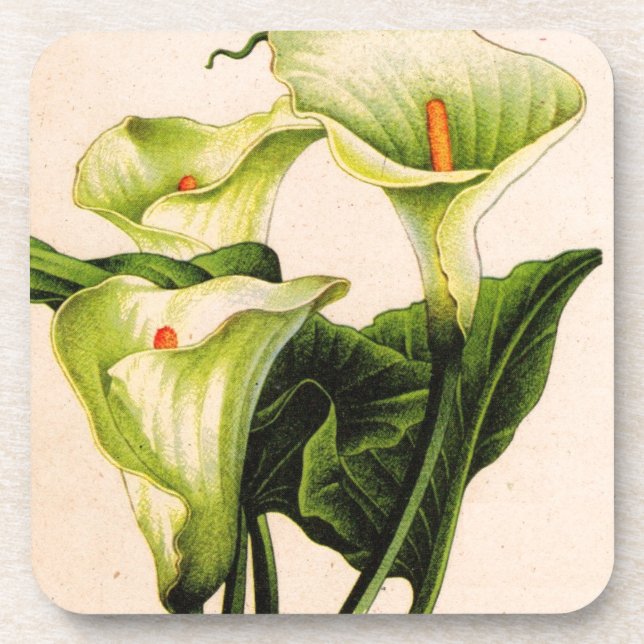 Posavasos calla lily calla lilies (Frente)