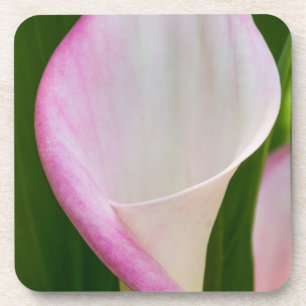 Posavasos Calla Pano