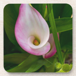 Posavasos Calla Roll