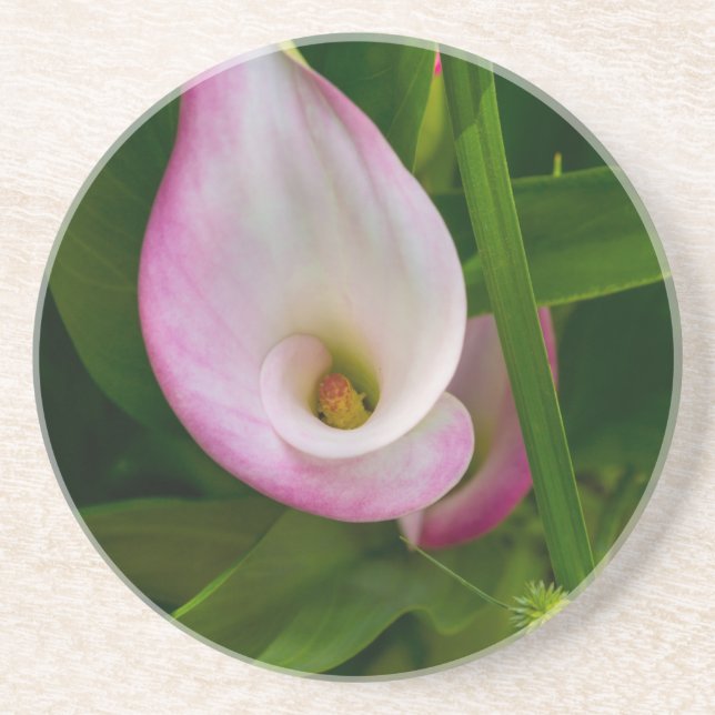 Posavasos Calla Roll (Frente)