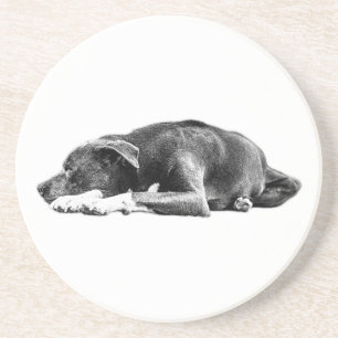 Posavasos Calle Pitbull Mix Lying Pose Art Coaster