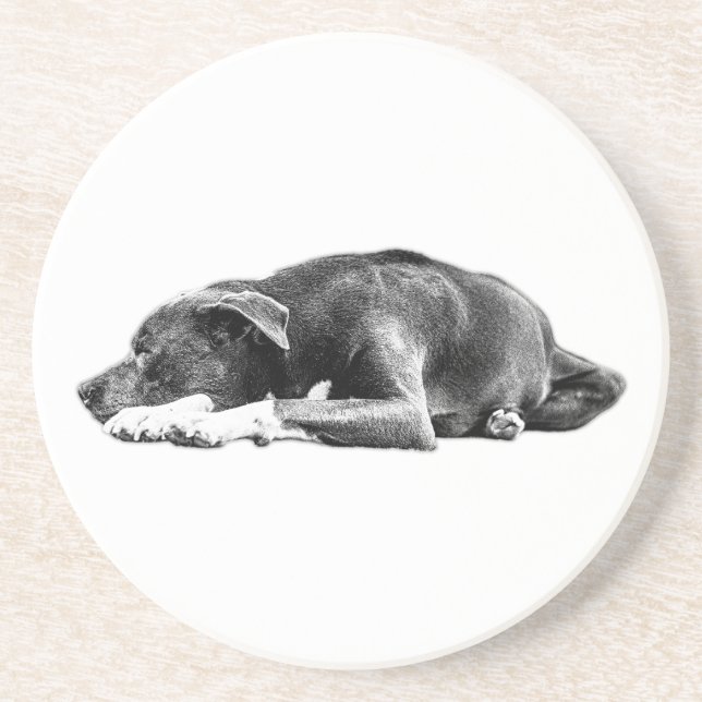 Posavasos Calle Pitbull Mix Lying Pose Art Coaster (Frente)