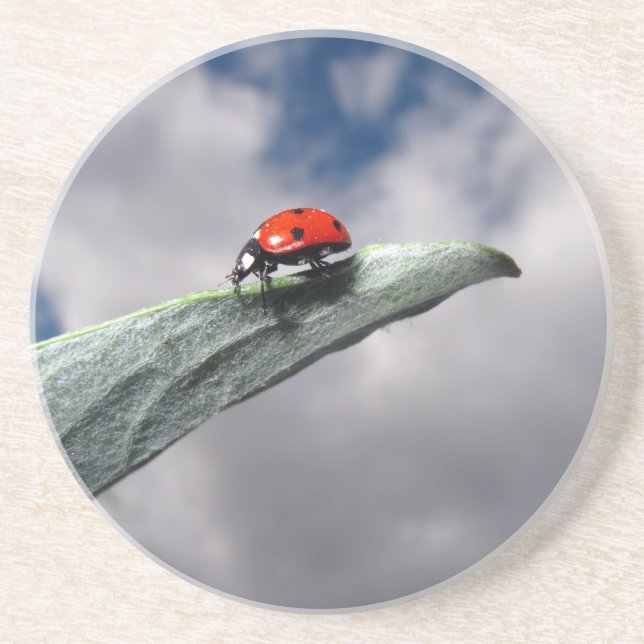 Posavasos Calma de la mariquita antes del práctico de costa (Frente)