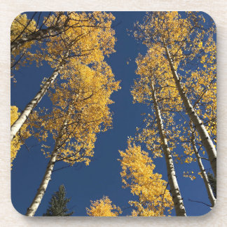 Posavasos Cámaras de cocina que ofrecen una muestra de color