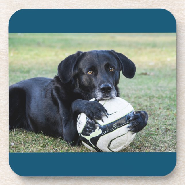 Posavasos Cámaras de laboratorio negras.  Set de seis. (Frente)