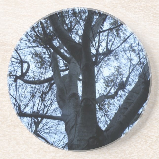 Posavasos Cámaras fotográficas de silueta de árbol (Frente)