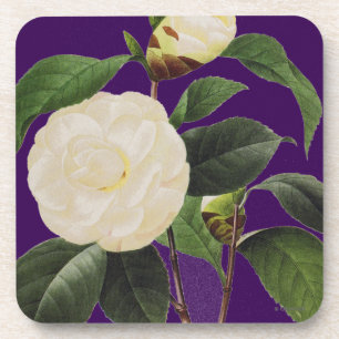 Posavasos Camelia blanca, 1833