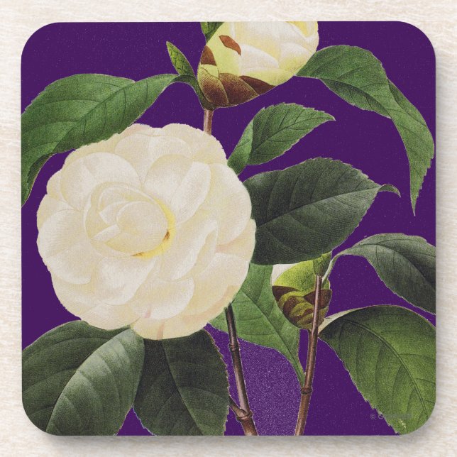Posavasos Camelia blanca, 1833 (Frente)