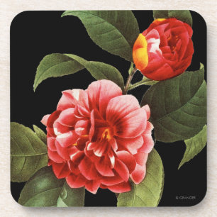 Posavasos Camelia roja, 1833