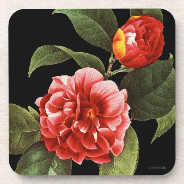 Posavasos Camelia roja, 1833 (Frente)