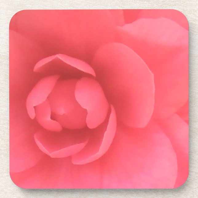 Posavasos Camellia rosa (Frente)