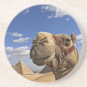 Posavasos Camello frente a las pirámides de Giza, Egipto,