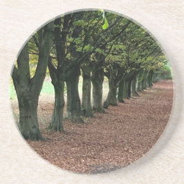 Posavasos Caminar por el bosque