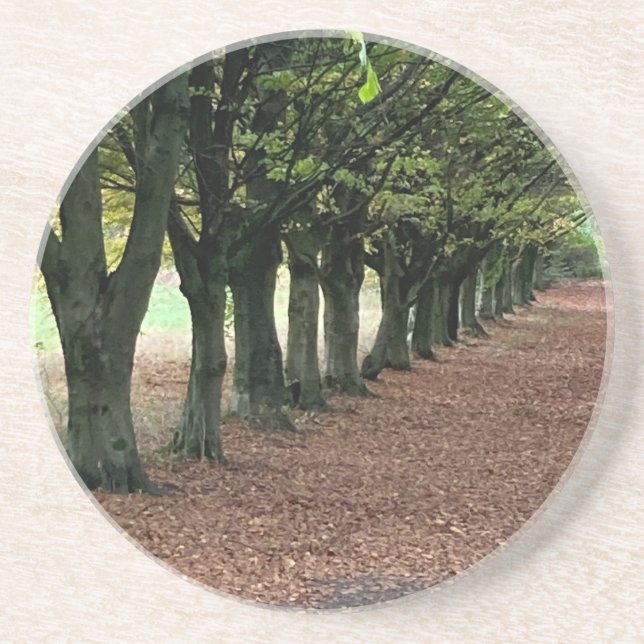 Posavasos Caminar por el bosque (Frente)