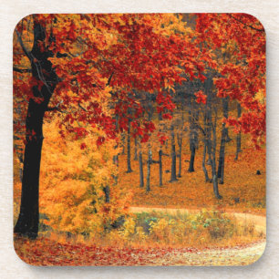 Posavasos Camino de otoño