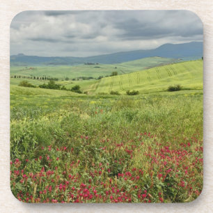 Posavasos Campo agrícola, región de Toscana, Italia.