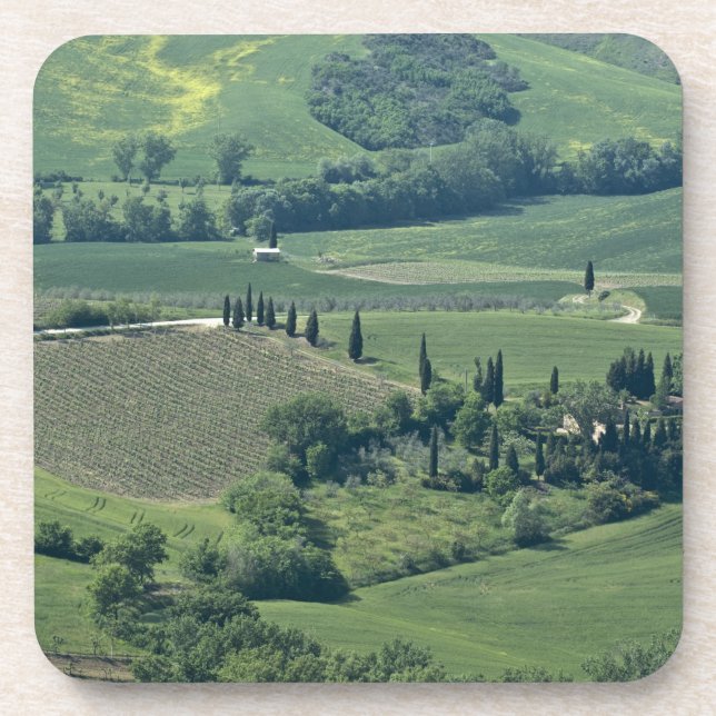 Posavasos Campo cerca de Montepulciano, Val d'Orcia, (Frente)