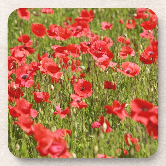 Posavasos Campo de amapola - ¡Asombroso! (Frente)