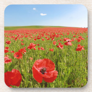 Posavasos Campo de amapola - ¡Asombroso!