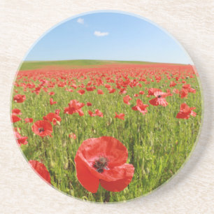 Posavasos Campo de amapola - ¡Asombroso!