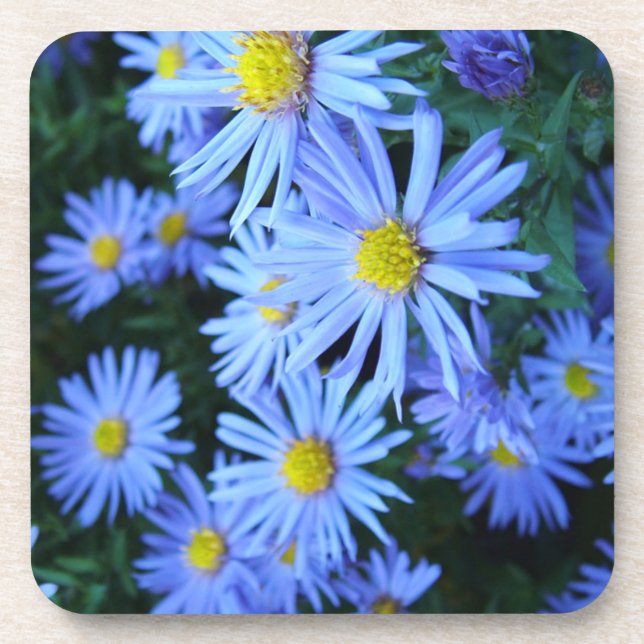 Posavasos Campo de flores azules (Frente)
