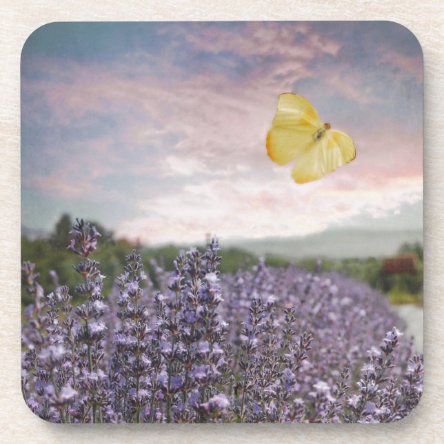 Posavasos Campo de flores de lavanda, cielo azul, atardecer  (Frente)