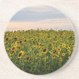Posavasos Campo de girasol en luz nocturna