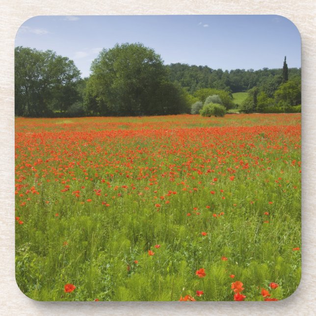 Posavasos Campo de la amapola, Chiusi, Italia (Frente)