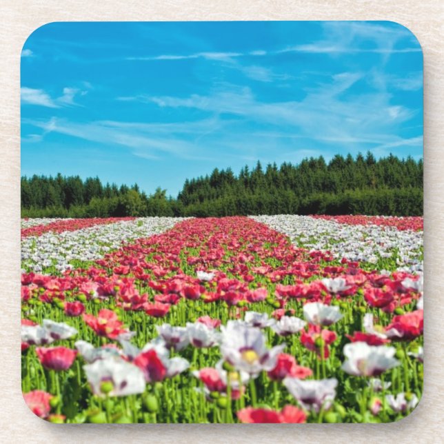 Posavasos Campo de la amapola roja y blanca (Frente)
