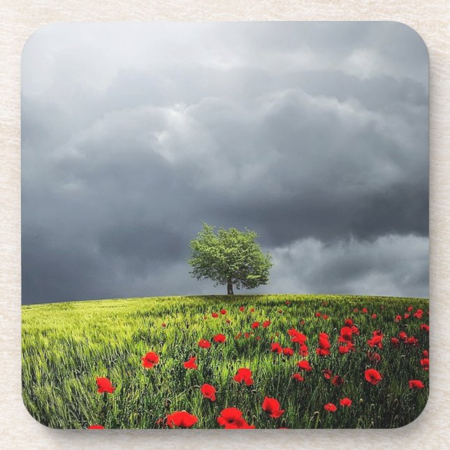 Posavasos Campo de la amapola y cielo nublado (Frente)