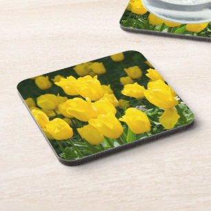 Posavasos Campo de tulipanes amarillo brillante