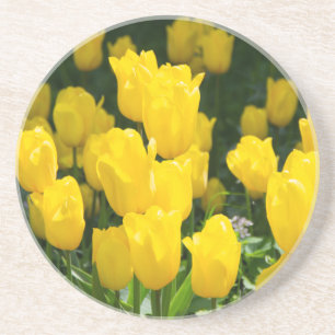 Posavasos Campo de tulipanes amarillo brillante
