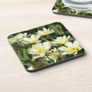Posavasos Campo de tulipanes blancos Foto