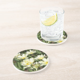 Posavasos Campo de tulipanes blancos Foto