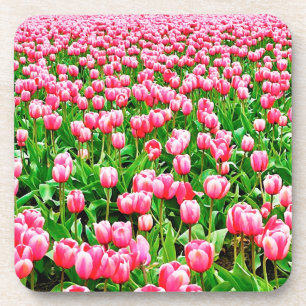 Posavasos Campo de tulipanes rosados